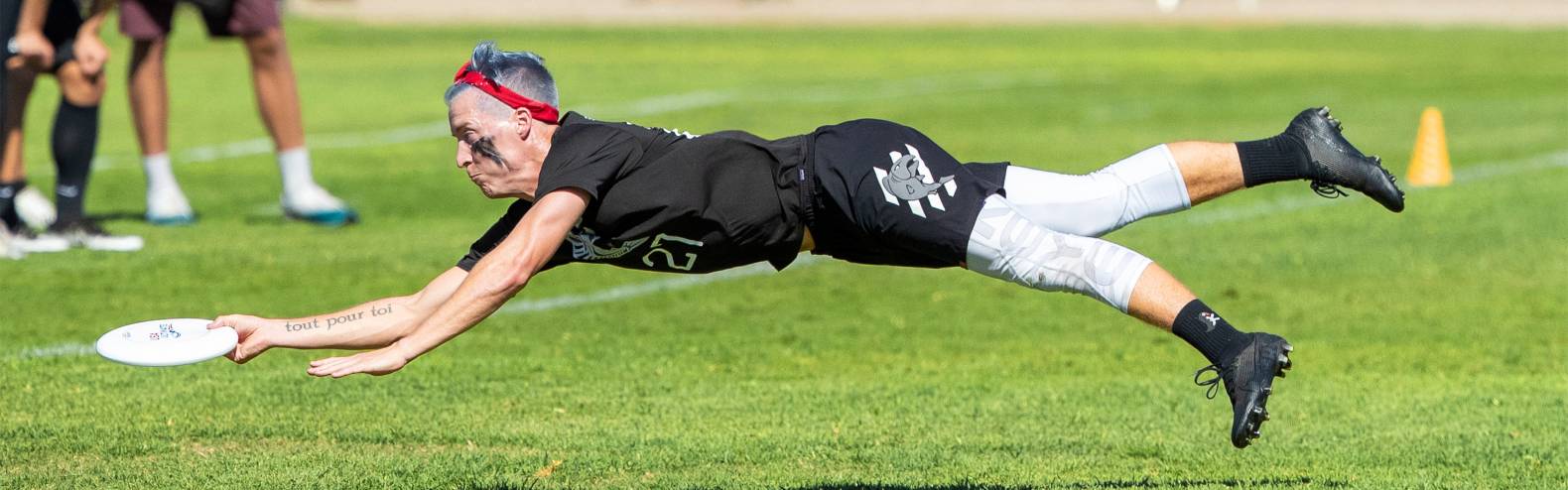 Dylan Freechild layout